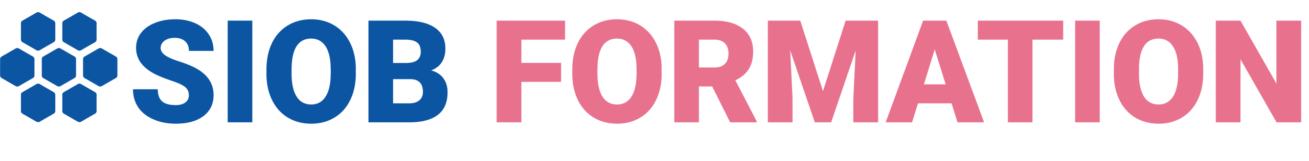 SIOB Formation